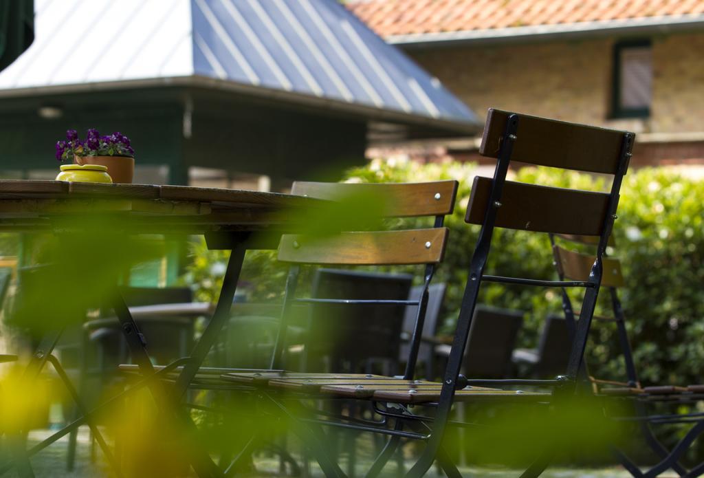 Hotel Schloesschen Sundische Wiese Zingst Ngoại thất bức ảnh